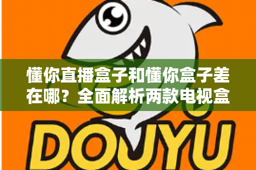 懂你直播盒子和懂你盒子差在哪?全面解析两款电视盒子的核心区别与选购指南 懂你直播盒子和懂你盒子差在哪?全面解析两款电视盒子的核心区别与选购指南