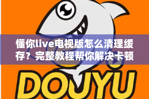 懂你live电视版怎么清理缓存?完整教程帮你解决卡顿烦恼,让电视观影流畅如新 懂你live电视版怎么清理缓存?完整教程帮你解决卡顿烦恼,让电视观影流畅如新