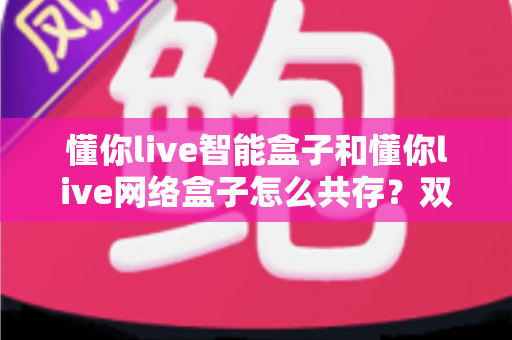 懂你live智能盒子和懂你live网络盒子怎么共存?双盒子家庭影音共存全攻略 懂你live智能盒子和懂你live网络盒子怎么共存?双盒子家庭影音共存全攻略