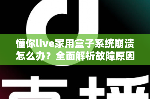 懂你live家用盒子系统崩溃怎么办?全面解析故障原因与高效解决方法 懂你live家用盒子系统崩溃怎么办?全面解析故障原因与高效解决方法