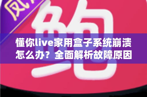 懂你live家用盒子系统崩溃怎么办？全面解析故障原因与高效解决方法