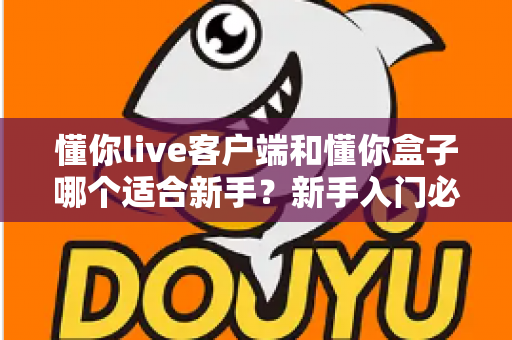 懂你live客户端和懂你盒子哪个适合新手?新手入门必看的全面对比与选择指南 懂你live客户端和懂你盒子哪个适合新手?新手入门必看的全面对比与选择指南