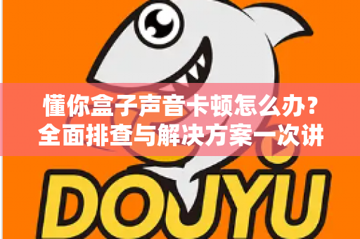 懂你盒子声音卡顿怎么办?全面排查与解决方案一次讲清 懂你盒子声音卡顿怎么办?全面排查与解决方案一次讲清