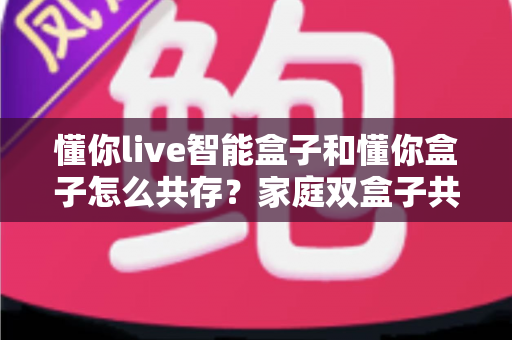 懂你live智能盒子和懂你盒子怎么共存？家庭双盒子共存的完整配置指南与实用技巧