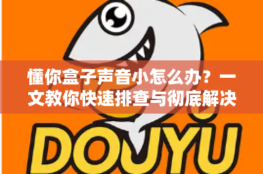 懂你盒子声音小怎么办?一文教你快速排查与彻底解决音量困扰 懂你盒子声音小怎么办?一文教你快速排查与彻底解决音量困扰