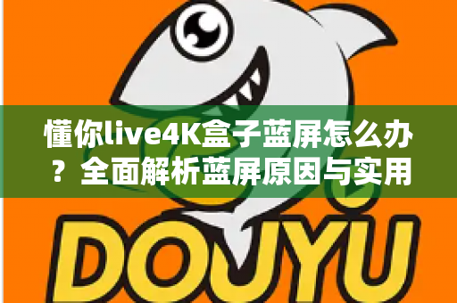 懂你live4K盒子蓝屏怎么办？全面解析蓝屏原因与实用解决方案