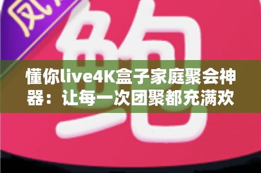 懂你live4K盒子家庭聚会神器:让每一次团聚都充满欢笑的高清影音新体验 懂你live4K盒子家庭聚会神器:让每一次团聚都充满欢笑的高清影音新体验