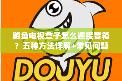 鲍鱼电视盒子怎么连接音箱？五种方法详解+常见问题一次搞懂，轻松打造私人家庭影院