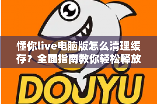 懂你live电脑版怎么清理缓存?全面指南教你轻松释放电脑空间 懂你live电脑版怎么清理缓存?全面指南教你轻松释放电脑空间
