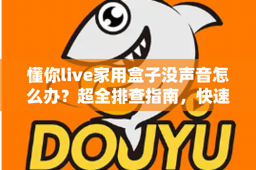 懂你live家用盒子没声音怎么办？超全排查指南，快速找回好声音