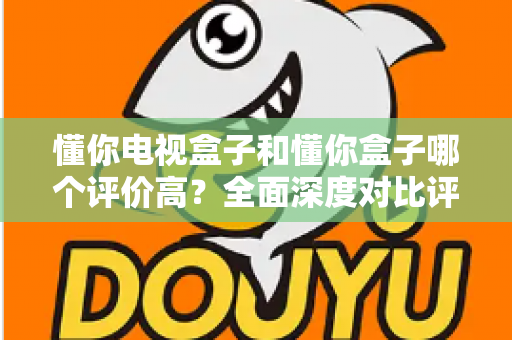 懂你电视盒子和懂你盒子哪个评价高？全面深度对比评测与选购指南带你找到答案