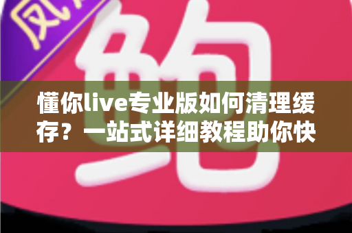 懂你live专业版如何清理缓存？一站式详细教程助你快速释放存储空间、提升直播流畅度