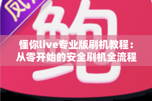 懂你live专业版刷机教程：从零开始的安全刷机全流程实用指南