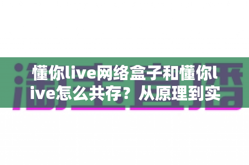 懂你live网络盒子和懂你live怎么共存？从原理到实操的完整双版本安装使用指南