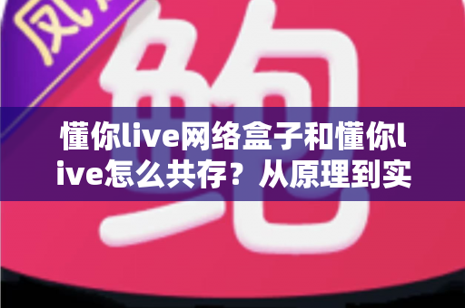 懂你live网络盒子和懂你live怎么共存？从原理到实操的完整双版本安装使用指南