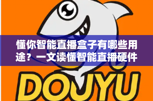懂你智能直播盒子有哪些用途？一文读懂智能直播硬件的全面功能与实际应用价值