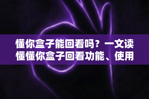 懂你盒子能回看吗？一文读懂懂你盒子回看功能、使用方法与常见问题