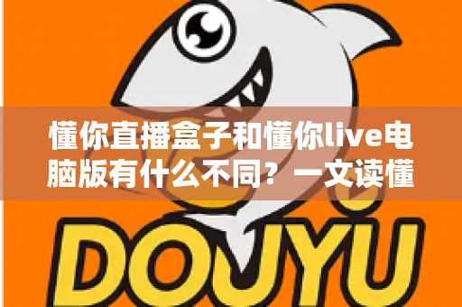 懂你直播盒子和懂你live电脑版有什么不同？一文读懂两款直播工具的核心差异与选购指南