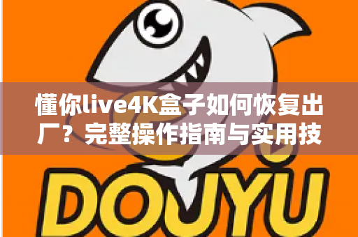 懂你live4K盒子如何恢复出厂？完整操作指南与实用技巧一网打尽