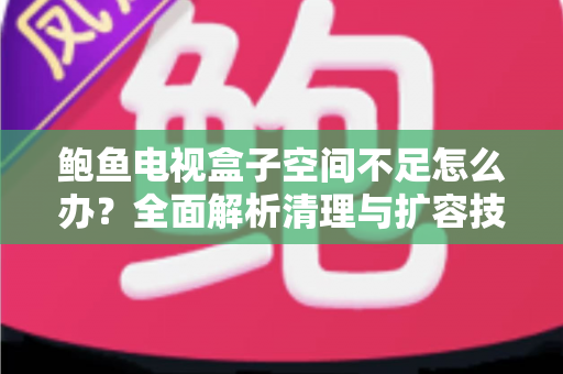 鲍鱼电视盒子空间不足怎么办？全面解析清理与扩容技巧，让您的观影体验流畅如新