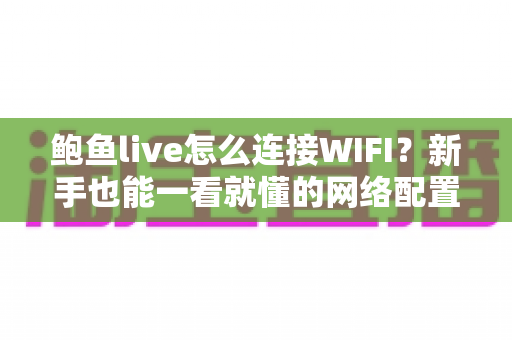 鲍鱼live怎么连接WIFI？新手也能一看就懂的网络配置完整攻略