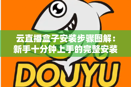 云直播盒子安装步骤图解：新手十分钟上手的完整安装教程与避坑指南
