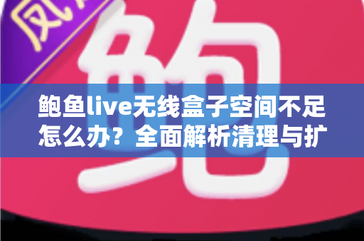 鲍鱼live无线盒子空间不足怎么办?全面解析清理与扩容实用指南 鲍鱼live无线盒子空间不足怎么办?全面解析清理与扩容实用指南