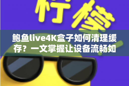 鲍鱼live4K盒子如何清理缓存？一文掌握让设备流畅如新的实用技巧