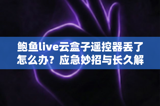 鲍鱼live云盒子遥控器丢了怎么办？应急妙招与长久解决方案全攻略