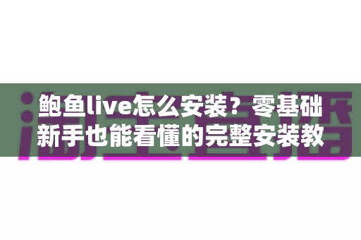鲍鱼live怎么安装？零基础新手也能看懂的完整安装教程与避坑指南