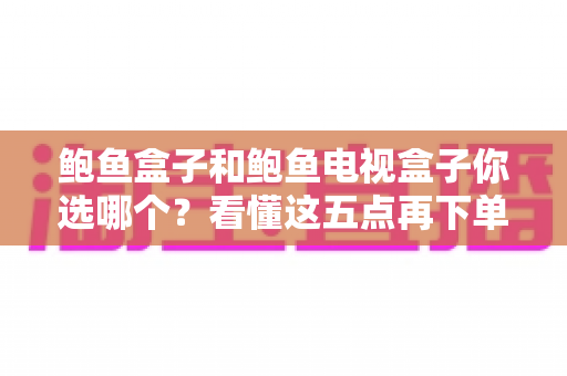 鲍鱼盒子和鲍鱼电视盒子你选哪个?看懂这五点再下单不迟 鲍鱼盒子和鲍鱼电视盒子你选哪个?看懂这五点再下单不迟