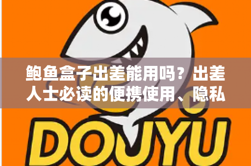 鲍鱼盒子出差能用吗？出差人士必读的便携使用、隐私保护与实用攻略全解析