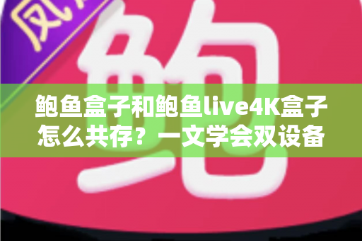 鲍鱼盒子和鲍鱼live4K盒子怎么共存?一文学会双设备同网共存的完整方案与优化技巧 鲍鱼盒子和鲍鱼live4K盒子怎么共存?一文学会双设备同网共存的完整方案与优化技巧