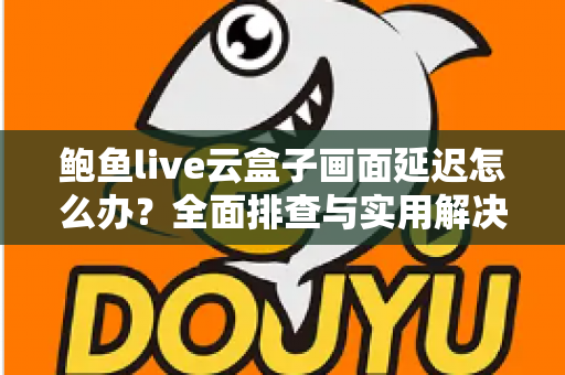 鲍鱼live云盒子画面延迟怎么办？全面排查与实用解决方案指南