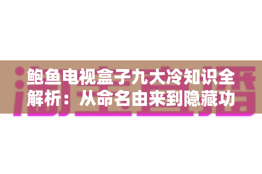 鲍鱼电视盒子九大冷知识全解析:从命名由来到隐藏功能,带你从小白变身电视盒子达人 鲍鱼电视盒子九大冷知识全解析:从命名由来到隐藏功能,带你从小白变身电视盒子达人