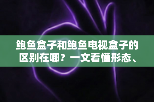 鲍鱼盒子和鲍鱼电视盒子的区别在哪?一文看懂形态、功能与选购核心差异 鲍鱼盒子和鲍鱼电视盒子的区别在哪?一文看懂形态、功能与选购核心差异