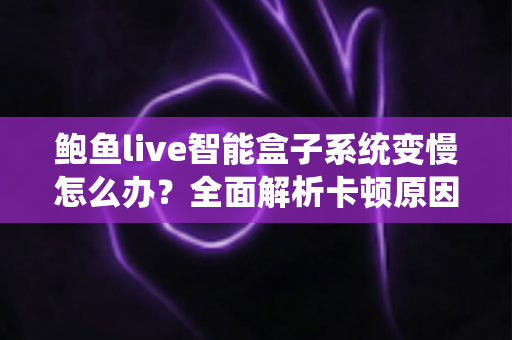 鲍鱼live智能盒子系统变慢怎么办？全面解析卡顿原因与高效优化技巧