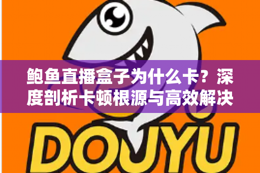 鲍鱼直播盒子为什么卡?深度剖析卡顿根源与高效解决方案 鲍鱼直播盒子为什么卡?深度剖析卡顿根源与高效解决方案