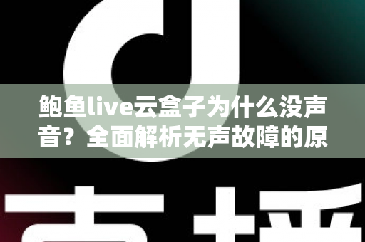 鲍鱼live云盒子为什么没声音?全面解析无声故障的原因与实用修复指南 鲍鱼live云盒子为什么没声音?全面解析无声故障的原因与实用修复指南