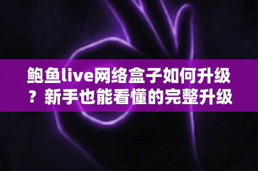 鲍鱼live网络盒子如何升级？新手也能看懂的完整升级教程与避坑指南