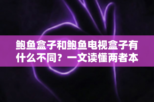 鲍鱼盒子和鲍鱼电视盒子有什么不同?一文读懂两者本质区别与选购指南 鲍鱼盒子和鲍鱼电视盒子有什么不同?一文读懂两者本质区别与选购指南