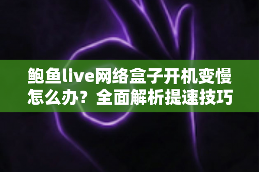 鲍鱼live网络盒子开机变慢怎么办？全面解析提速技巧与维护指南，让您的盒子秒速开机恢复流畅体验