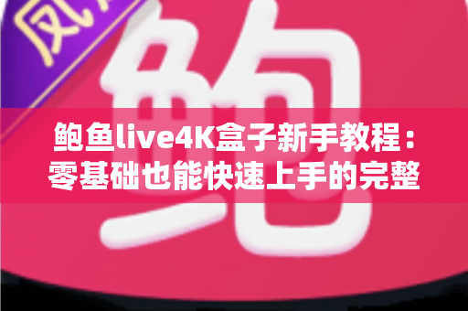 鲍鱼live4K盒子新手教程：零基础也能快速上手的完整设置与使用指南