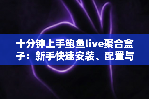 十分钟上手鲍鱼live聚合盒子：新手快速安装、配置与高效使用完全指南