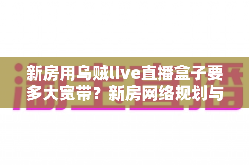 新房用乌贼live直播盒子要多大宽带？新房网络规划与宽带选择全攻略