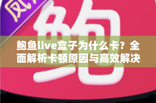 鲍鱼live盒子为什么卡？全面解析卡顿原因与高效解决方法
