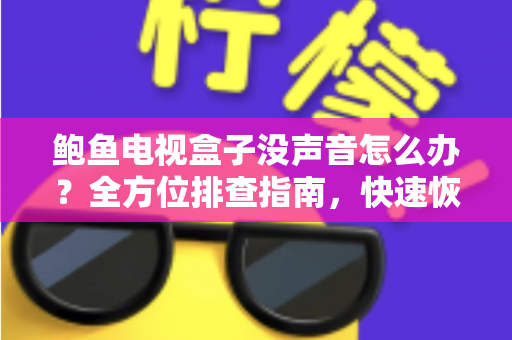 鲍鱼电视盒子没声音怎么办?全方位排查指南,快速恢复影音体验! 鲍鱼电视盒子没声音怎么办?全方位排查指南,快速恢复影音体验!