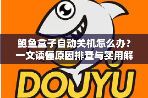 鲍鱼盒子自动关机怎么办?一文读懂原因排查与实用解决方案 鲍鱼盒子自动关机怎么办?一文读懂原因排查与实用解决方案