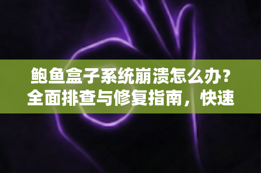 鲍鱼盒子系统崩溃怎么办？全面排查与修复指南，快速恢复流畅体验