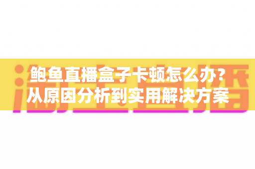 鲍鱼直播盒子卡顿怎么办？从原因分析到实用解决方案的完整优化指南